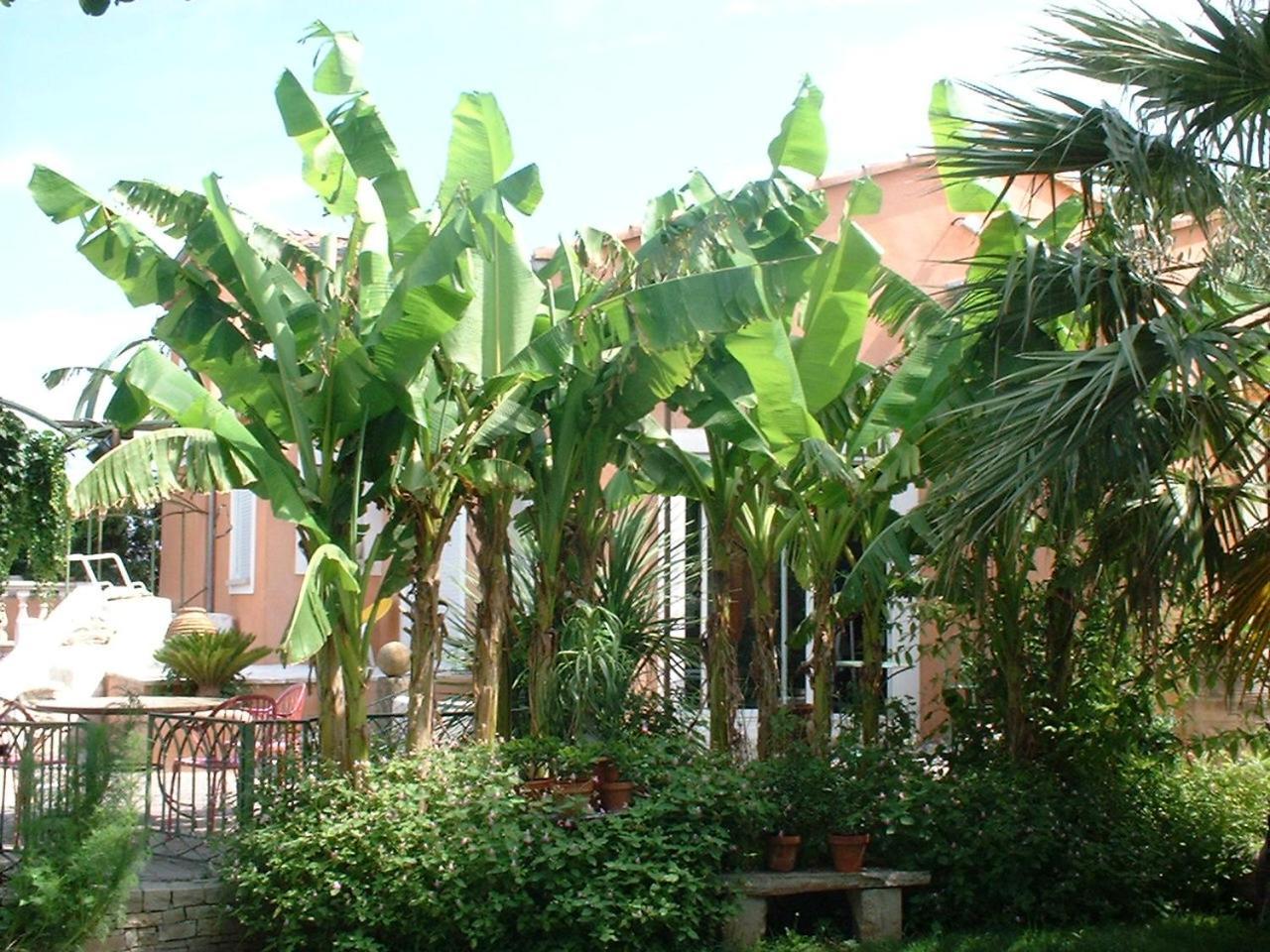 Campagne Hotel Montelimar Exterior photo